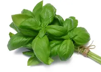 crème glacée basilic